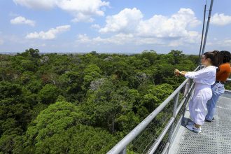 Turistas observam copa das árvores em torre de 42 metros de altura (Foto: Arthur Castro/Secom)