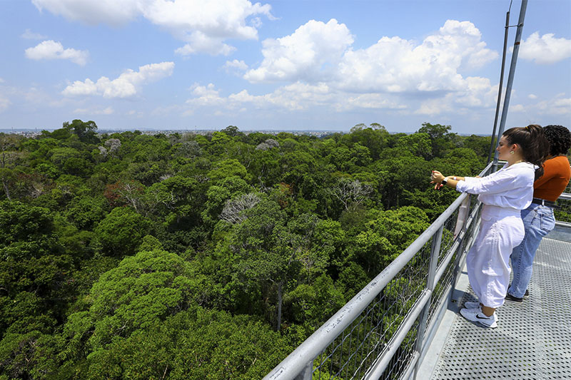 Turistas observam copa das árvores em torre de 42 metros de altura  (Foto: Arthur Castro/Secom)