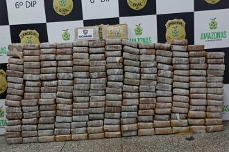 Cocaína apreendida foi trazida de Letícia, na Colômbia, disse delegado (Foto: Erlon Rodrigues/PC-AM)