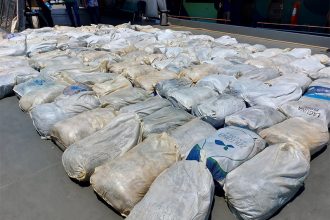 Pirarucu estava em sacos cobertos por gelo (Foto: SSP-AM/Divulgação)