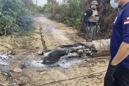 Agentes ambientais impediram queimada ilegal em área de floresta no sul do Amazonas (Foto: SSP-AM/Divulgação)
