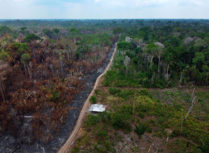 Queimadas na Amazônia