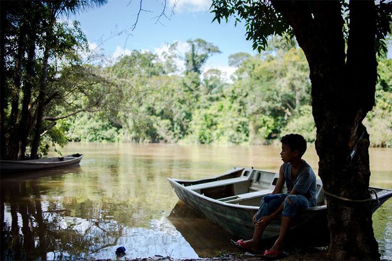 Bolsa Verde é destinada a pessoas em áreas com risco de desmatamento (Foto: Marcelo Camargo/ABr)