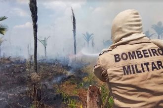Bombeiro combate o fogo em área de floresta em Lábrea (Foto: CBMAM/Divulgação)