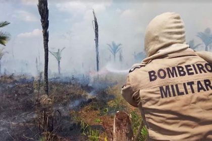 Bombeiro combate o fogo em área de floresta em Lábrea (Foto: CBMAM/Divulgação)