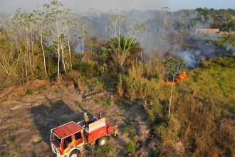 Incêndios atingem área de floresta de vegetação seca. Bombeiros usam água a clareiras para conter o fogo (Foto: CBMA/Divulgação)