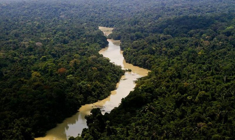 Garimpo na Amazônia aumentou, diz estudo do - Foto Leonadro Milano ICMBio)