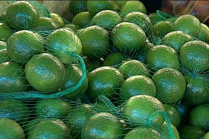 Limão azedou inflação das frutas em setembro (Imagem: YouTube/Reprodução)