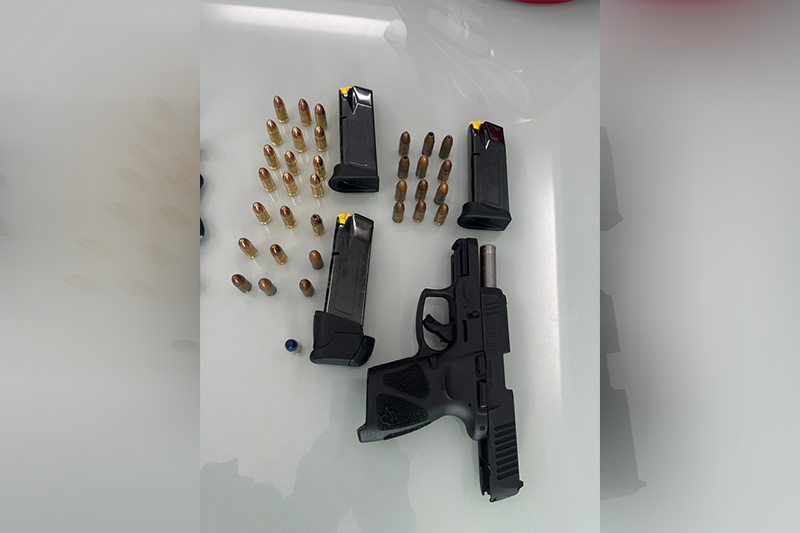Pistola e munições também foram apreendidas em casa de suspeito (Foto: PF/Divulgação)