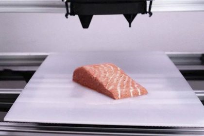 Salmão vegano é impresso com tecnologia 3D (Imagem: Revo Foods GmbH/Divulgação)