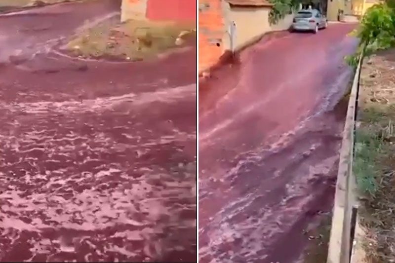 Enchorrada de vinho em Portugal