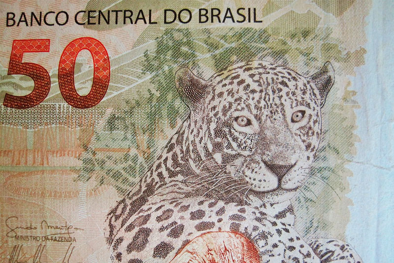 Inadimplência no Amazonas