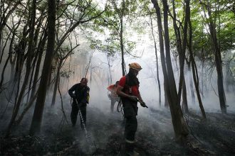 Brigadistas trabalham no combate a fogos de incêndios (Foto: Mauro Neto/Secom)