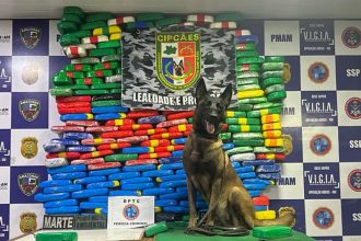 Cadela Havana farejou a droga, que estava escondida em forro de embarcação (Foto: SSP-AM)