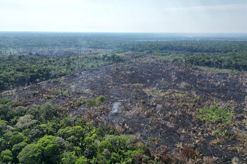 Desmatamento é a principal ocorrência identificada na operação Tamoiotatá no Sul do Amazonas (Foto: SSP-AM/Divulgação)