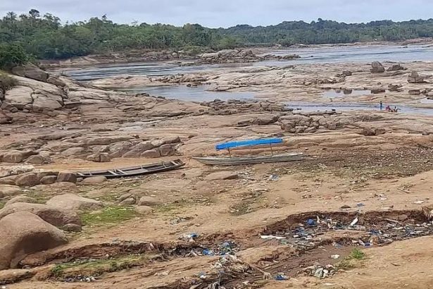Efeitos da estiagem em São Gabriel da Cachoeira, em 2023 (Foto: DPE-AM/Divulgação)