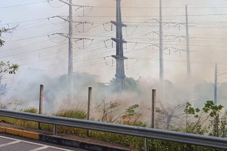 Incêndio em vegetação debaixo de linha de transmissão de energia: risco de desabastecimento (Foto: Amazonas Energia/Divulgação)