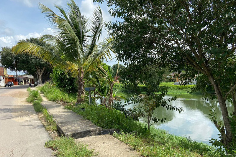 Lago do Parque São Pedro: juiz manda prefeitura recuperar área ambiental (Foto: Implurb/Divulgação)