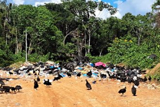 Prefeito tem 60 dias para substituir lixão por aterro sanitário em Tapauá (Foto: MP-AM/Divulgação)