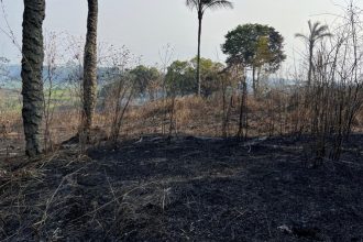 Polícia Federal prendeu dois homens próximo à Manaus (Foto: PF/Divulgação)o)