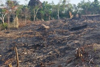 Uma área de vegetação estava queimada e ainda com focos de incêndio (Foto: PMAM/Divulgação)