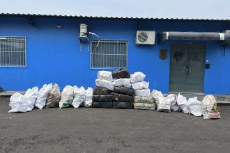 Maconha foi levada para a Polícia Federal em Manaus (Foto: PMAM/Divulgação)