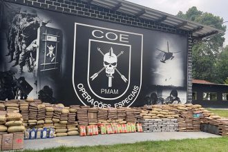 Droga foi levada para a Polícia Federal em Manaus (Foto: William Ribeiro/PMAM)