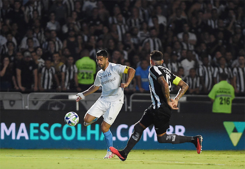 Chance de título é maior para o Grêmio e menor para Botafogo