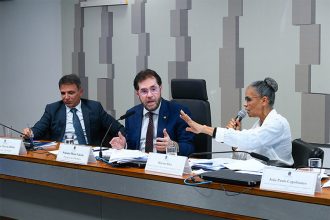 Ministra Marina Silva defende Fundo Amazônia em depoimento à CPI das ONGs (Foto: Marcos Oliveira/Agência Senado)