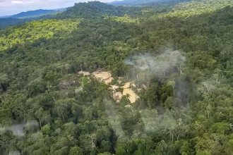 Terra Indígena Apyterewa, em São Félix do Xingú: STF manda retirar invasores (Foto: PF/Divulgação)