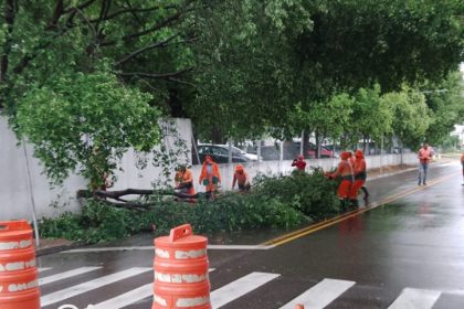 Servidores da limpeza pública retiram ganhos de árvores sobre a rua (Foto: IMMU/Divulgação)
