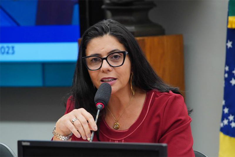 Deputada delegada Ione disse que intenção é preservar a vítima de possível constrangimento (Foto: Will Shutter/Agência Câmara)