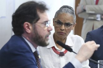 Plínio Valério foi confrontado por Marina Silva na CPI das ONGs (Foto: Marcos Oliveira/Agência Senado)