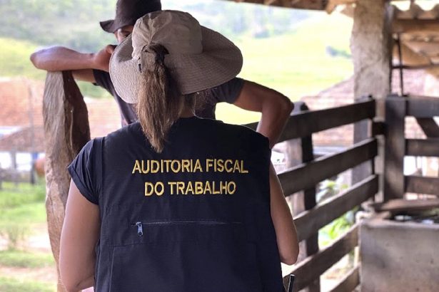 Ações sobre trabalho análogo à escravidão (Foto: Ministério do Trabalho/Divulgação)
