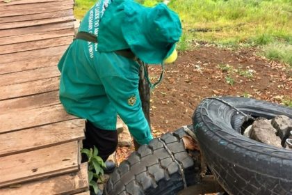 Agente de endemias inspeciona pneu: combate ao Aedes aegypti (Foto: FVS/Divulgação)
