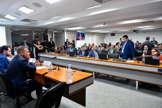 CPI das ONGs aprovou relatório final (Foto: Geraldo Magela/Agência Senado)