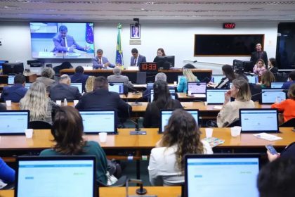 Comissão de Previdência da Câmara aprovou projeto de lei a favor das mulheres (Foto: Vinicius Loures/Agência Câmara)