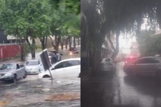 A chuva deixou ruas alagadas e causou a queda de árvore (Foto: Divulgação)