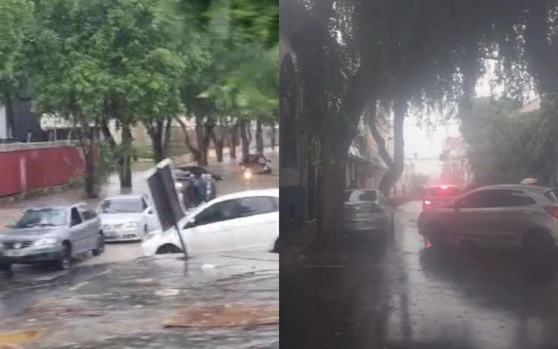  A chuva deixou ruas alagadas e causou a queda de árvore (Foto: Divulgação)