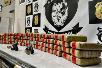 Maconha tipo skunk apreendida com o homem (Foto: Divulgação/PC-AM)