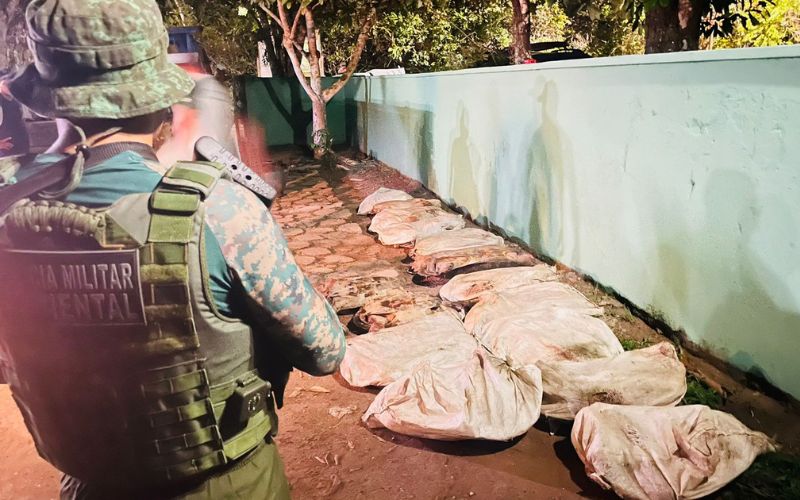 A PMAM (Polícia Militar do Amazonas) apreendeu os aninais no porto do município de Novo Airão (Foto: DivulgaçãoPMAM)