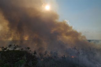 Queimada em torno da BR-319 no Amazonas: MPF identificou omissão do poder público no combate a incêndios (Foto: Marcos Amend/ Observatório BR-319)