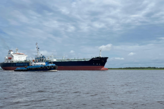 O navio encalhou no dia 4 deste mês na Costa do Taboca devido à seca (Foto: Divulgação/Ibama-AM)