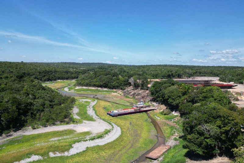 Com o retorno das chuvas, houve mobilização para o plantio de mudas na área (Foto: Divulgação)