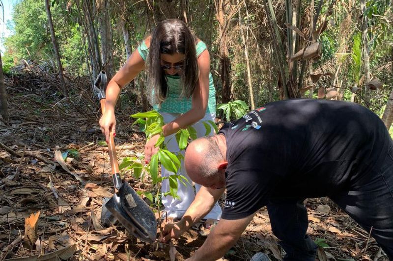 Ação de plantio de mudas no Ramal do Brasileirinho (Foto: Divulgação)
