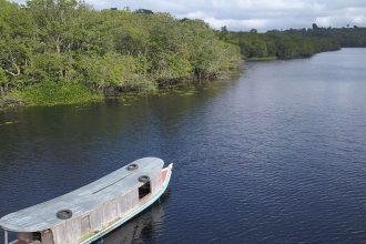 Maior bioma brasileiro, Amazônia recebe menor quantidade de recursos para pesquisa (Foto: Jaime Souza/Divulgação)