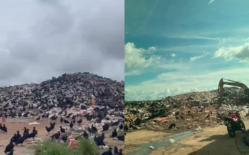 O lixão em Tefé é um problema recorrente na maior parte dos municípios do Amazonas (Foto: Divulgação/redes sociais) 