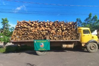 As madeiras foram apreendidas em locais distintos (Foto: Divulgação)