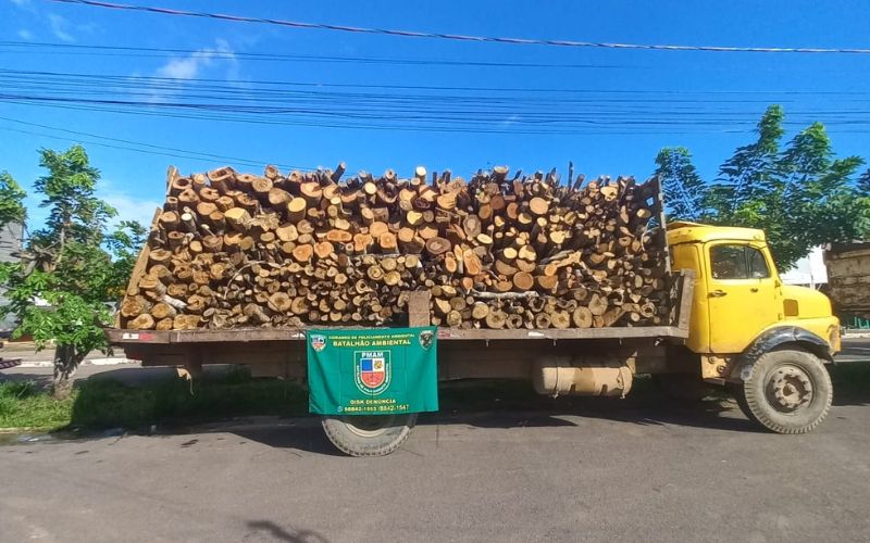 As madeiras foram apreendidas em locais distintos (Foto: Divulgação) 