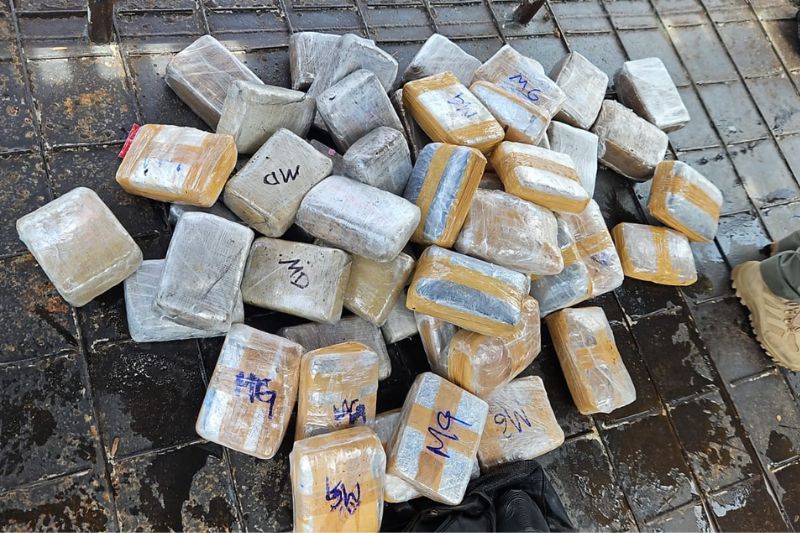 As drogas estavam avaliadas em R$ 750 mil (Foto: Divulgação/PC-AM)